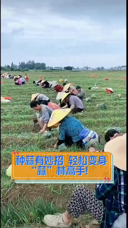 开云体育app报道：体育博彩高手分享投注心得，助你轻松取胜