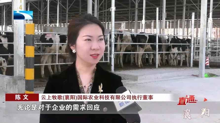 开云体育app：真人百家乐赢奖锦囊，开云体育专家教你如何赢钱