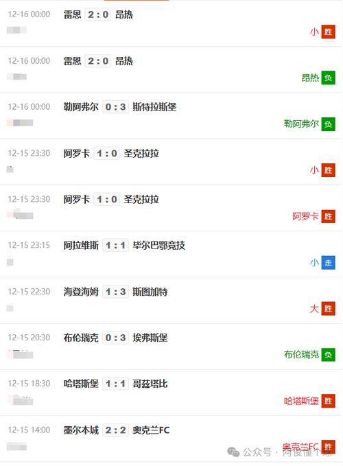 葡超联赛的转播收入分配，开云体育解读商业利益与公平竞争的平衡