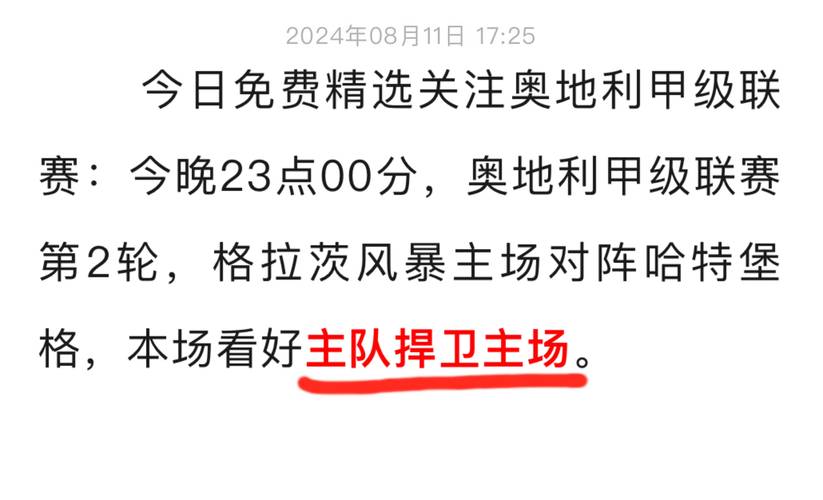 葡超球队的未来发展规划，开云体育分析如何吸引更多投资与关注
