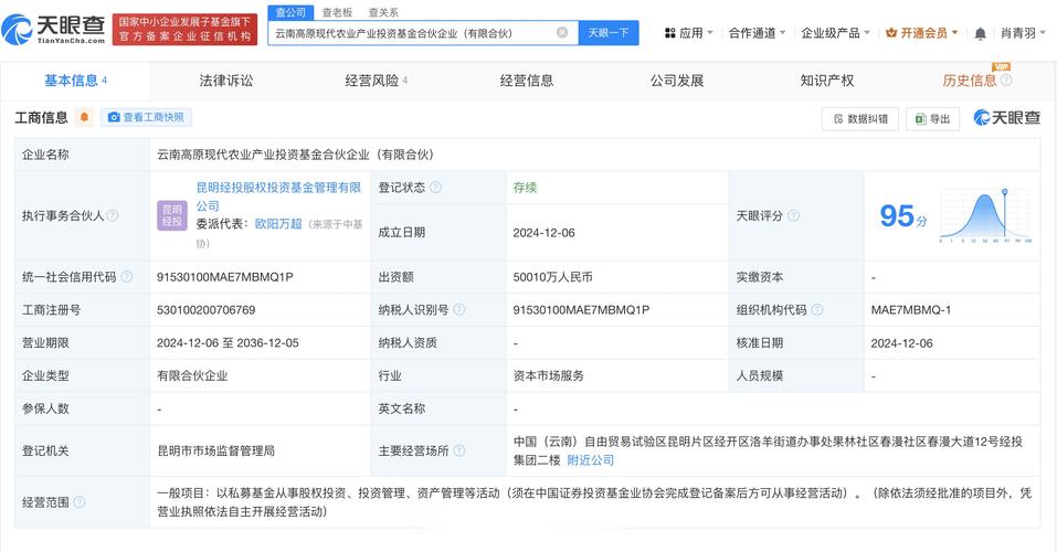 “高额投资回报迷雾：开云体育app指出纯烧钱模式难以长久，必须平衡品牌建设与盈利”
